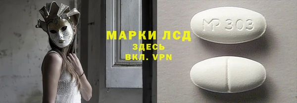 apvp Алзамай