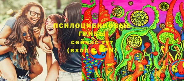 apvp Алзамай