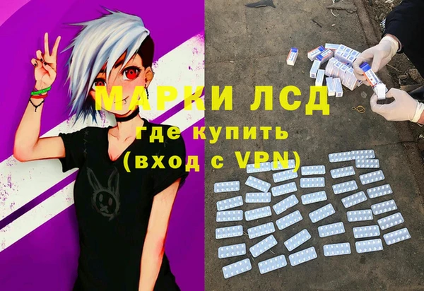 apvp Алзамай