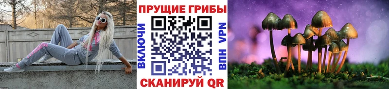 Галлюциногенные грибы Cubensis  площадка как зайти  Беслан 